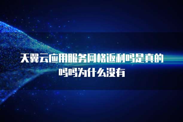天翼云应用服务网格返利吗是真的吗吗为什么没有