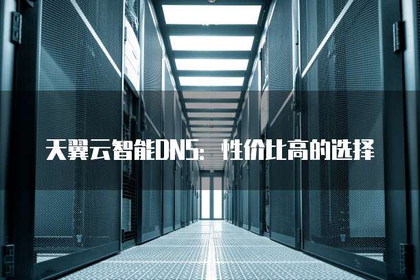 天翼云智能DNS:性价比高的选择