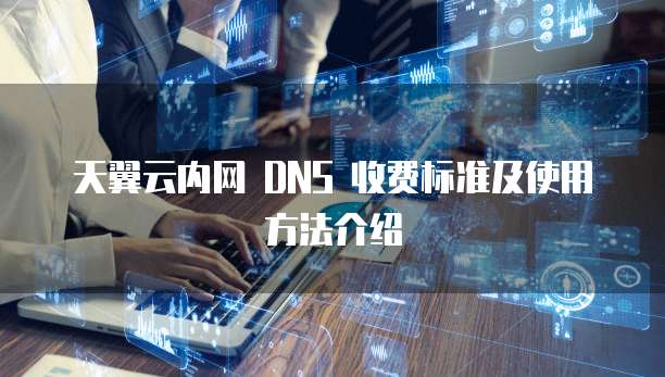 天翼云内网 DNS 收费标准及使用方法介绍