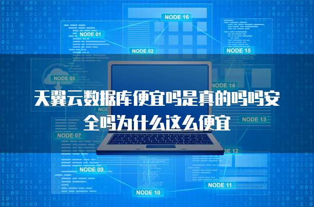 天翼云数据库便宜吗是真的吗吗安全吗为什么这么便宜