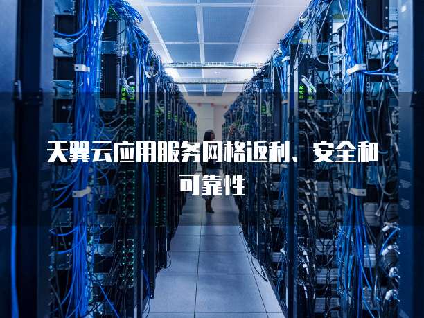 天翼云应用服务网格返利、安全和可靠性