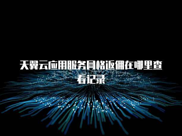 天翼云应用服务网格返佣在哪里查看记录