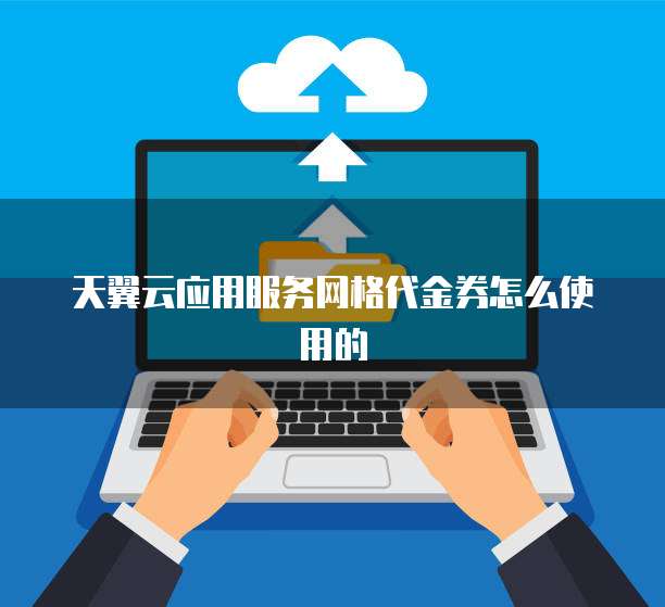 天翼云应用服务网格代金券怎么使用的