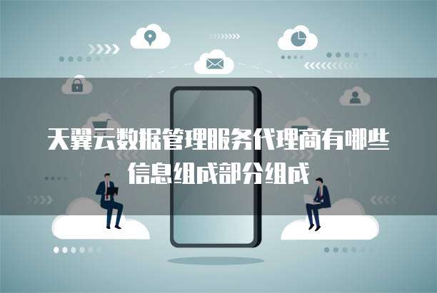 天翼云数据管理服务代理商有哪些信息组成部分组成