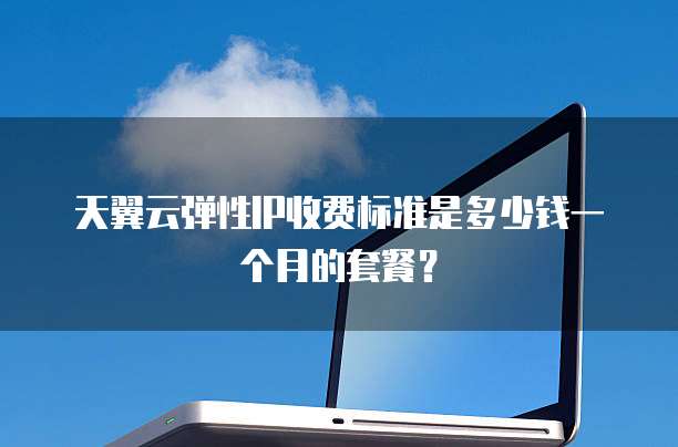 天翼云弹性IP收费标准是多少钱一个月的套餐?