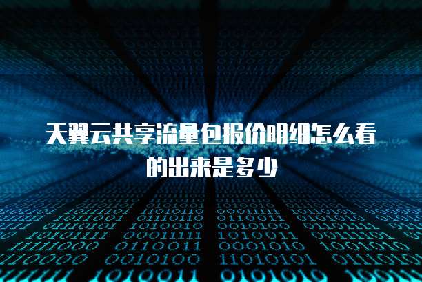 天翼云共享流量包报价明细怎么看的出来是多少
