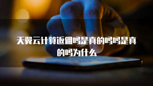 天翼云计算返佣吗是真的吗吗是真的吗为什么