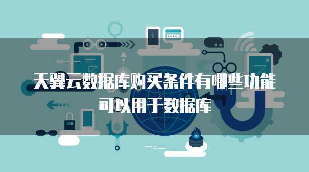 天翼云数据库购买条件有哪些功能可以用于数据库