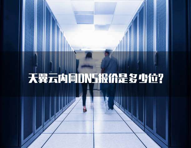 天翼云内网DNS报价是多少位?