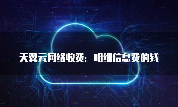天翼云网络收费:明细信息费的钱