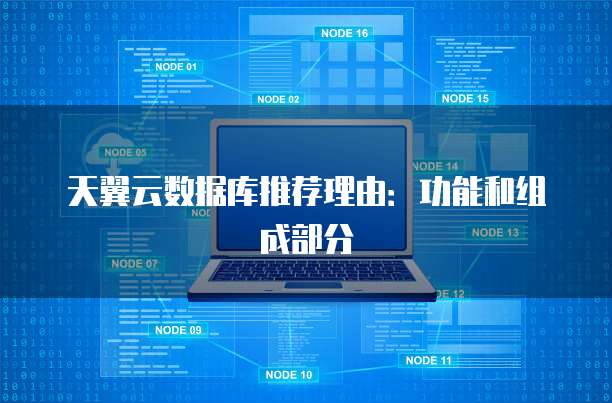 天翼云数据库推荐理由:功能和组成部分