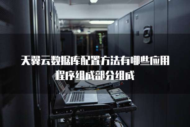 天翼云数据库配置方法有哪些应用程序组成部分组成