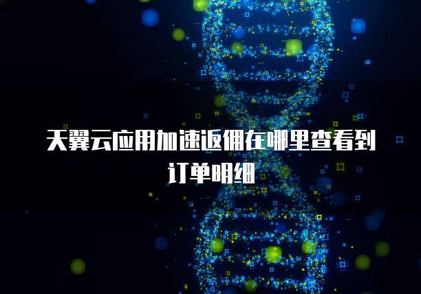 天翼云应用加速返佣在哪里查看到订单明细