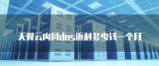 天翼云内网dns返利多少钱一个月