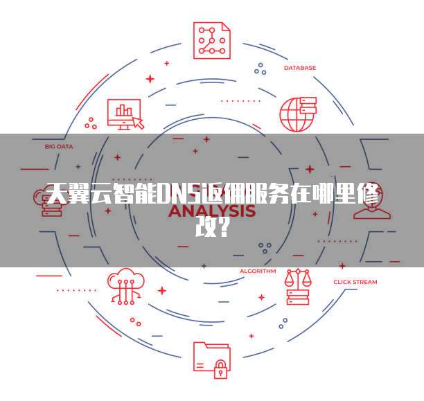 天翼云智能DNS返佣服务在哪里修改?