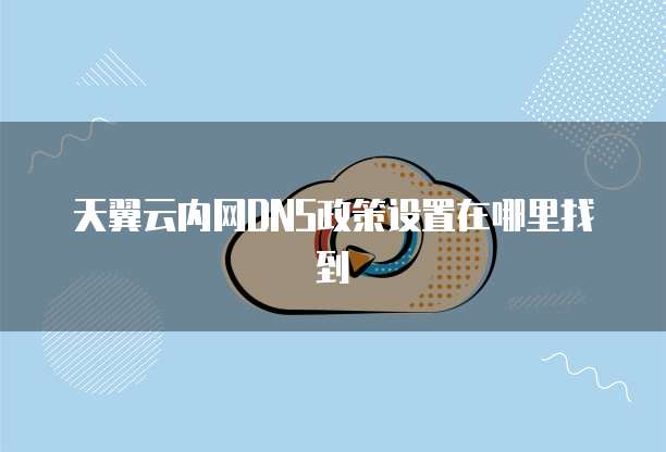 天翼云内网DNS政策设置在哪里找到