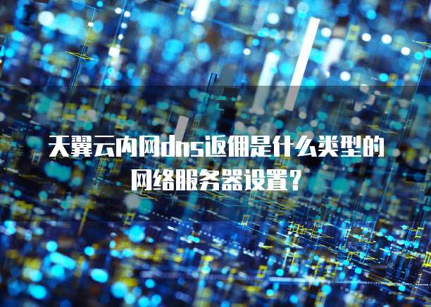 天翼云内网dns返佣是什么类型的网络服务器设置？
