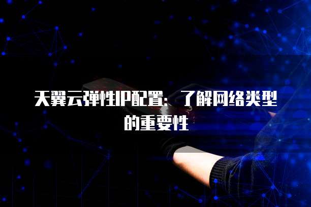 天翼云弹性IP配置:了解网络类型的重要性