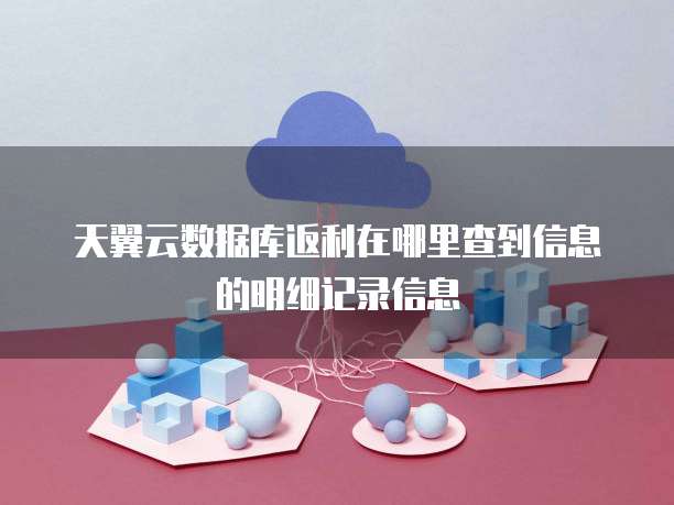 天翼云数据库返利在哪里查到信息的明细记录信息