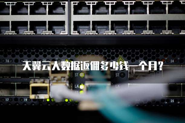 天翼云大数据返佣多少钱一个月?