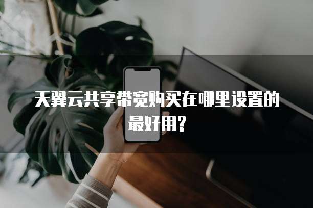 天翼云共享带宽购买在哪里设置的最好用?