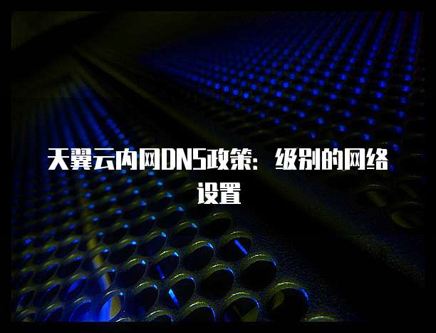 天翼云内网DNS政策:级别的网络设置