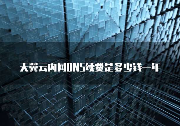 天翼云内网DNS续费是多少钱一年