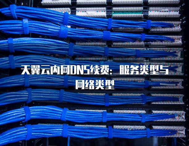 天翼云内网DNS续费:服务类型与网络类型