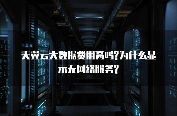 天翼云大数据费用高吗?为什么显示无网络服务?