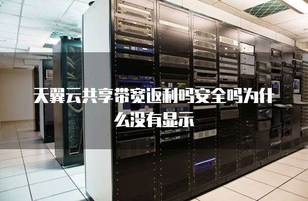 天翼云共享带宽返利吗安全吗为什么没有显示