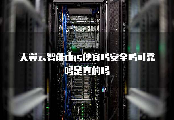 天翼云智能dns便宜吗安全吗可靠吗是真的吗