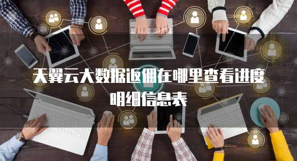 天翼云大数据返佣在哪里查看进度明细信息表