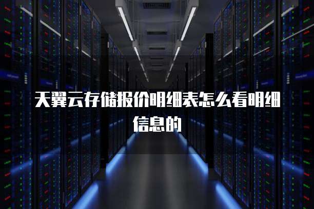 天翼云存储报价明细表怎么看明细信息的