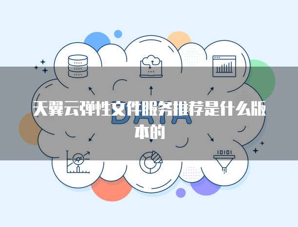 天翼云弹性文件服务推荐是什么版本的