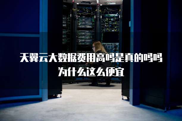 天翼云大数据费用高吗是真的吗吗为什么这么便宜