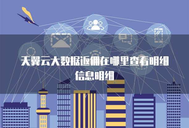 天翼云大数据返佣在哪里查看明细信息明细