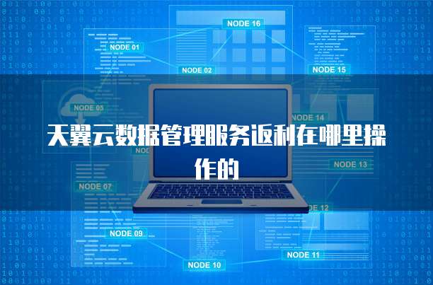 天翼云数据管理服务返利在哪里操作的