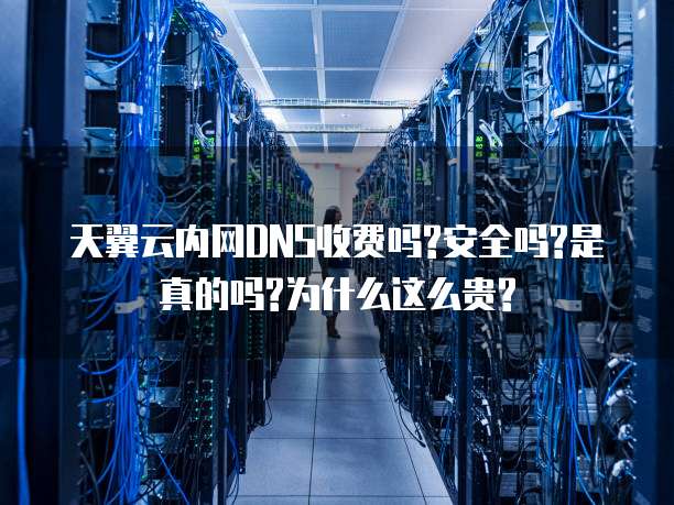天翼云内网DNS收费吗?安全吗?是真的吗?为什么这么贵?