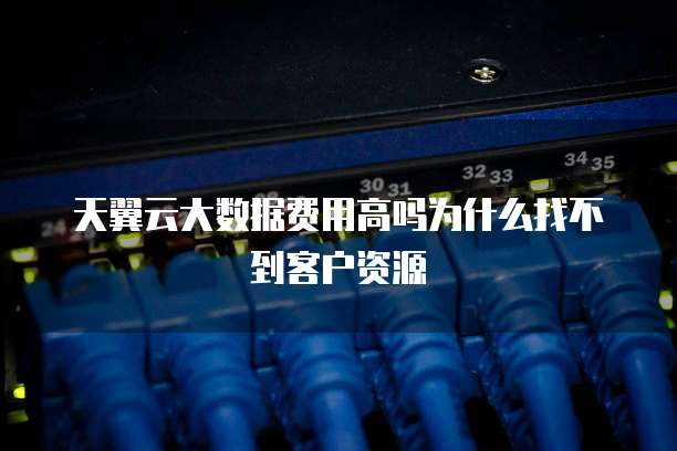 天翼云大数据费用高吗为什么找不到客户资源