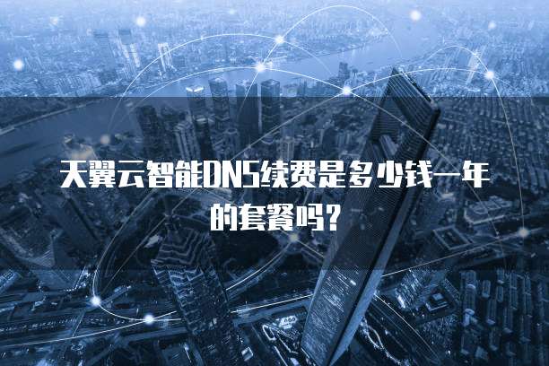 天翼云智能DNS续费是多少钱一年的套餐吗？