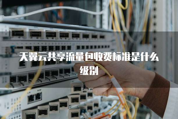 天翼云共享流量包收费标准是什么级别
