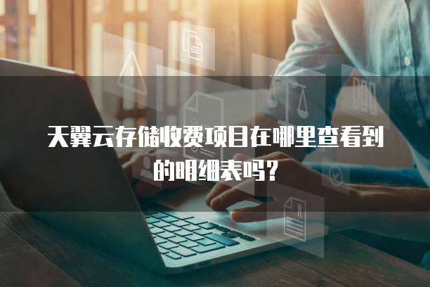 天翼云存储收费项目在哪里查看到的明细表吗？