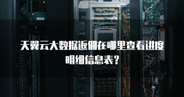 天翼云大数据返佣在哪里查看进度明细信息表?
