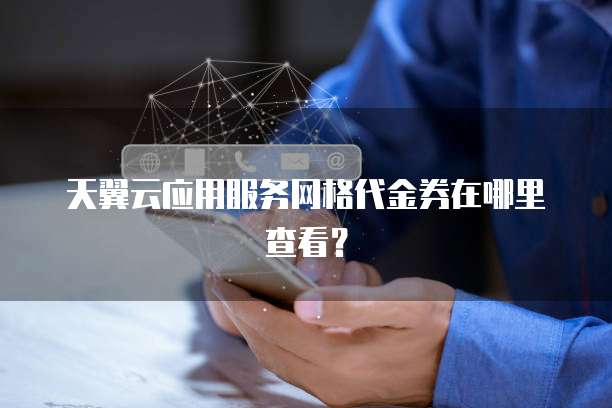 天翼云应用服务网格代金券在哪里查看?
