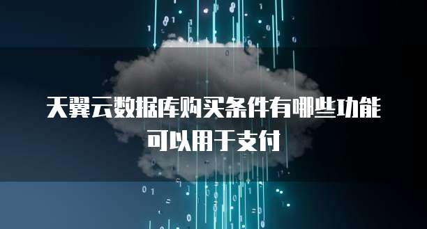 天翼云数据库购买条件有哪些功能可以用于支付
