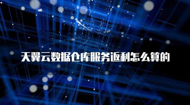 天翼云数据仓库服务返利怎么算的