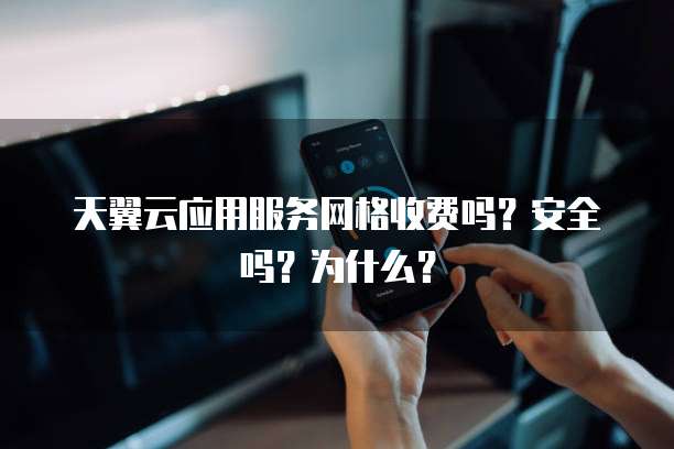天翼云应用服务网格收费吗？安全吗？为什么？