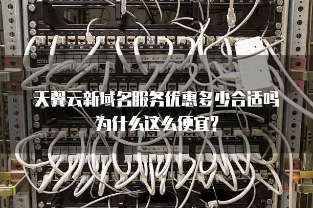 天翼云新域名服务优惠多少合适吗为什么这么便宜?