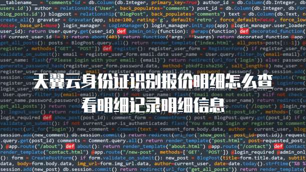 天翼云身份证识别报价明细怎么查看明细记录明细信息