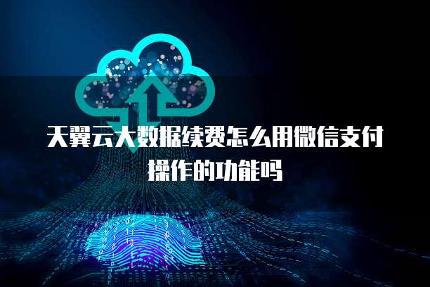 天翼云大数据续费怎么用微信支付操作的功能吗